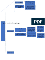Cuadro Sinoptico 2 Aporte de La Fisiologia