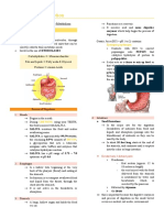 Digestion and Absorption Notes