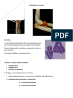 BIOMECÁNICA DEL CODO Completo