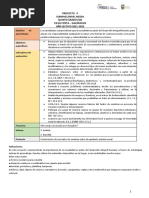 Proyecto 4 - Semana 1 5to