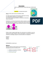 Ciclo Celular