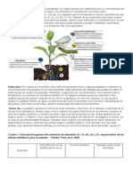 Existen Elementos Esenciales para Las Plantas