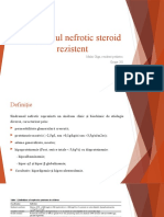 Sindromul Nefrotic Steroid Rezistent