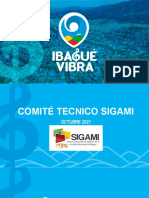 Presentacion Comite Sigami 13 Octubre 2021