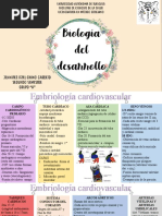 Embriología Cardiovascular y Circulacion Fetal.