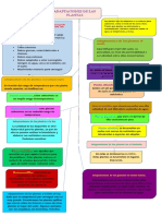 Mapa Conceptual Adaptaciones de Las Plantas.