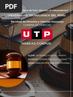 Informe Habeas Corpus