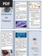 Folder Sobre Síndrome de Pearson