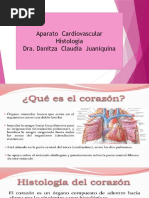 A. Cardiovascular