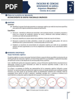 Facultad de Ciencias: Título de La Práctica de Laboratorio