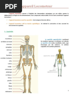 3 - Appareil Locomoteur