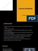 Trauma Intestinal