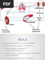 Sraa