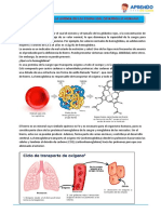 Lectura Informativa - Actividad N°4