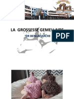 20.04.la Grossesse Gemellaire