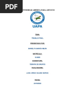 Trabajo Final Terapia de Grupo