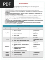 Diapositivas de Las Clases de Micro