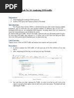 Lab 10 Analyzing DNS Traffic