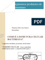 Microorganismos Produtores de Carbapenemases