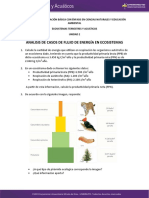 Uni2 Act4 Ana Cas Flu Ene Eco