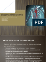 Sistema Circulatorio 2020