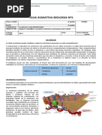 2do Medio La-Celula