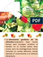 Alimentos Transgenicos