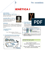 Semana 08 - Jueves - 13 - Genetica I