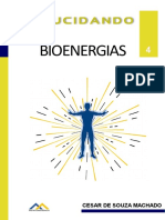 Elucidando As Bioenergias