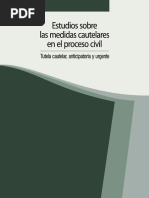 10 Estudios Sobre Las Medidas Cautelares en El Proceso Civil