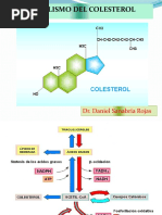 Metabolismo de Colesterol