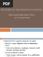 Anatomy of The Digestive System I Tim Anatomi Fkik Unja: Dr. Asro Hayani Harahap