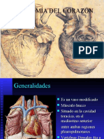 Anatomia Del Corazon-1