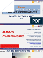 Grandes Contribuyentes - G&G 2021