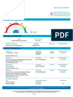 21 XXX XXX TP Cibil - Report