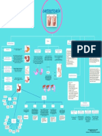 Organizador Grafico de Gastrectomia