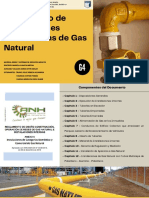 Reglamento de Instalaciones Domiciliarias de Gas Natural