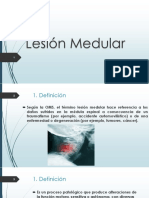 Lesion Medular INR