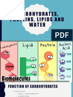 Lesson 2 - Water, Carbohydrates