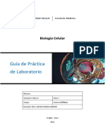 Guía Práctica Laboratorio Mitocondria y Peroxisomas