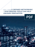 WP Software Defined Networking