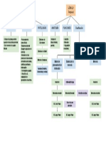 Organizador Visual - Lobulo y Pariental