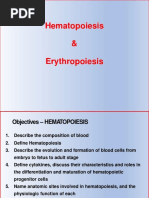 LECTURE 2 - HEMATOPOIESIS and ERYTHROPOIESIS - 10 - 17 - 2020