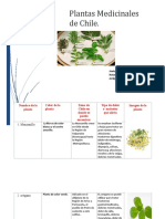 Las Plantas Medicinales 1