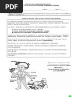 Objetivo de Aprendizaje: Clasificar Los Alimentos Distinguiendo Sus Efectos Sobre La Salud y Proponer Hábitos Alimenticios Saludables - OA6