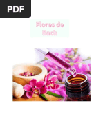 Preparacion Flores