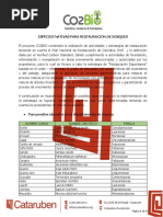 Especies Nativas para Restauración de Bosques