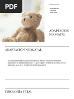 Adaptación Neonatal