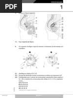 Testes Avalia Integral