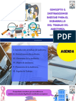 Concepto e Instrucciones Basicas para El Desarrollo Del Trabajo de Auditoria